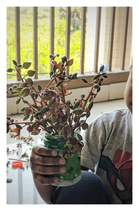 img_20190216_121409-01